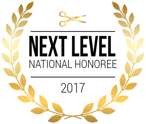 award badge Next Level Top Honoree 2017