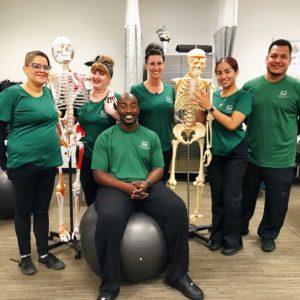 Massage therapy students in Austin learning body sciences